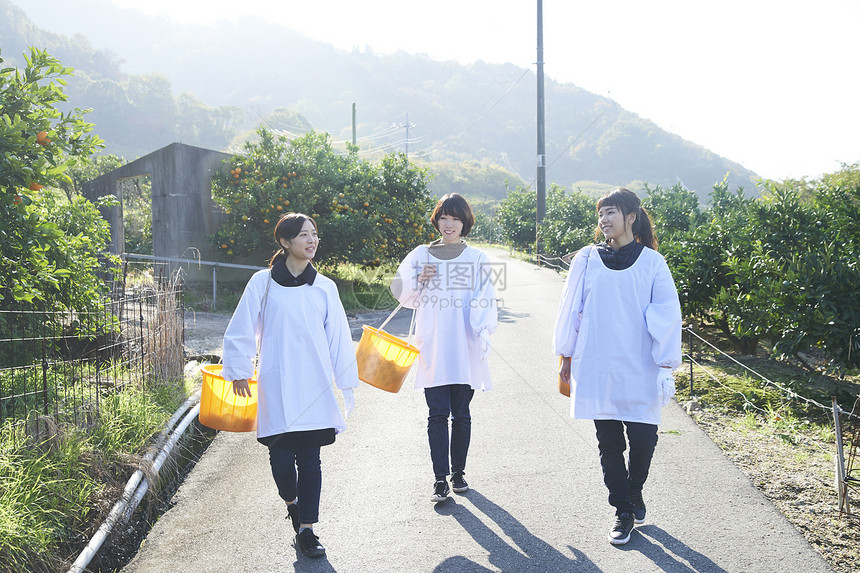 三个女人背着果篮走出水果种植园图片