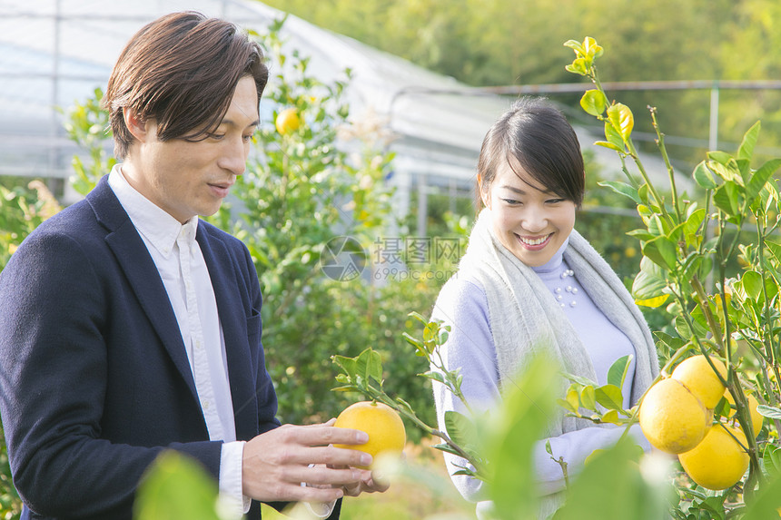 来柚子种植园观光的快乐夫妇图片