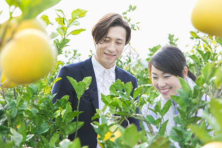 朋来柚子种植园观光的快乐夫妇图片