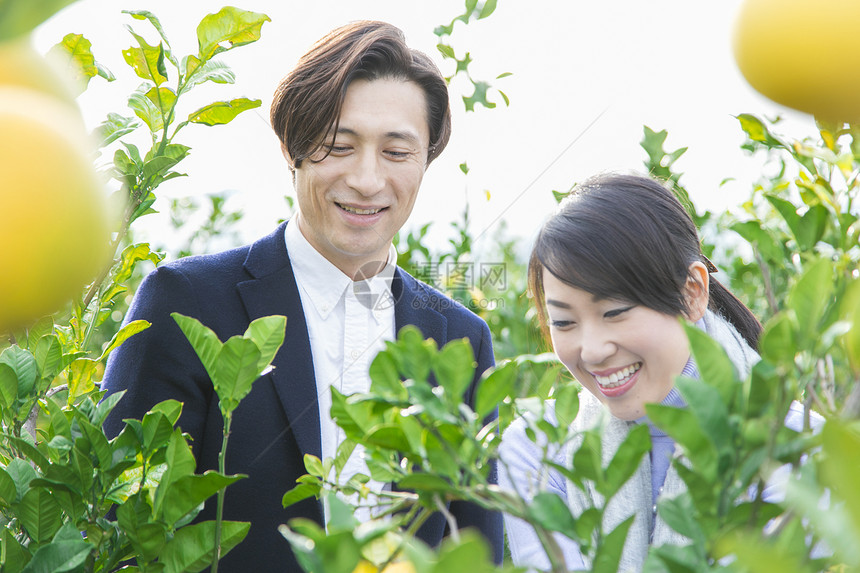 来柚子种植园观光的快乐夫妇图片