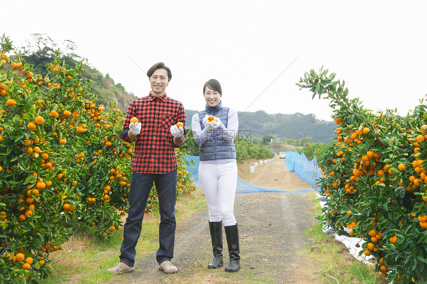 橘子园的果农夫妇手捧橘子图片