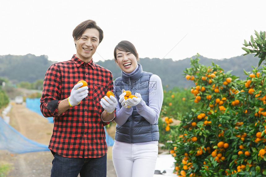 橘子园的果农夫妇手捧橘子图片