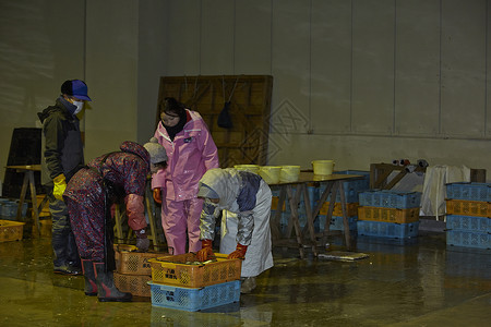 鱼市场工作的渔民们图片