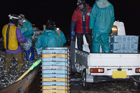 夜晚收获的渔业渔民在搬运卸货图片