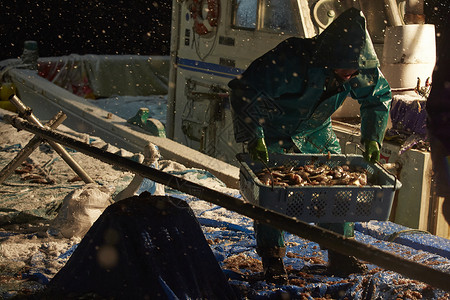 日本叉牙鱼深夜在海湾工作的渔民背景