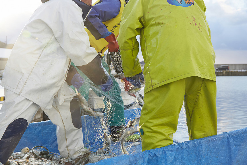 日本渔民正在从渔网上取下海鲜图片