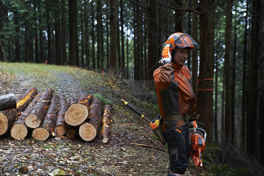 雨衣锯原木林业人图片