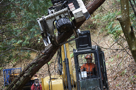 记入重型机械文稿空间林业人图片