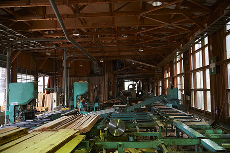 处理木材的伐木工场高清图片