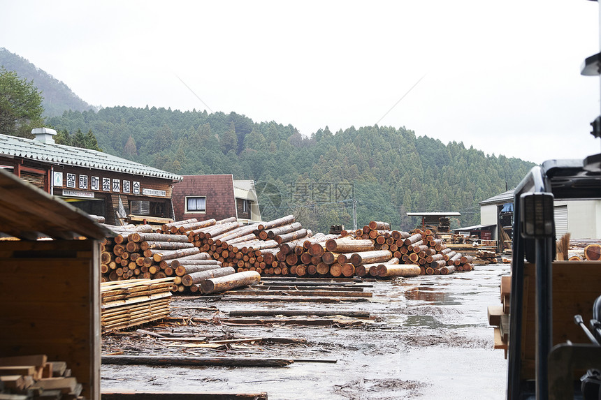 木材排列整齐的木材厂图片