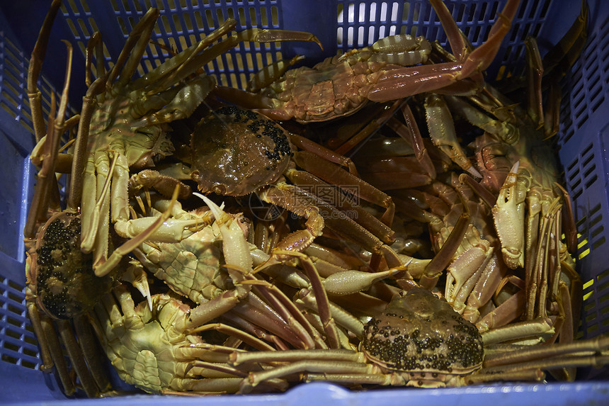 篮子里满满的大螃蟹图片