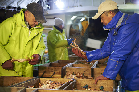 渔民们检查打捞上来的螃蟹图片
