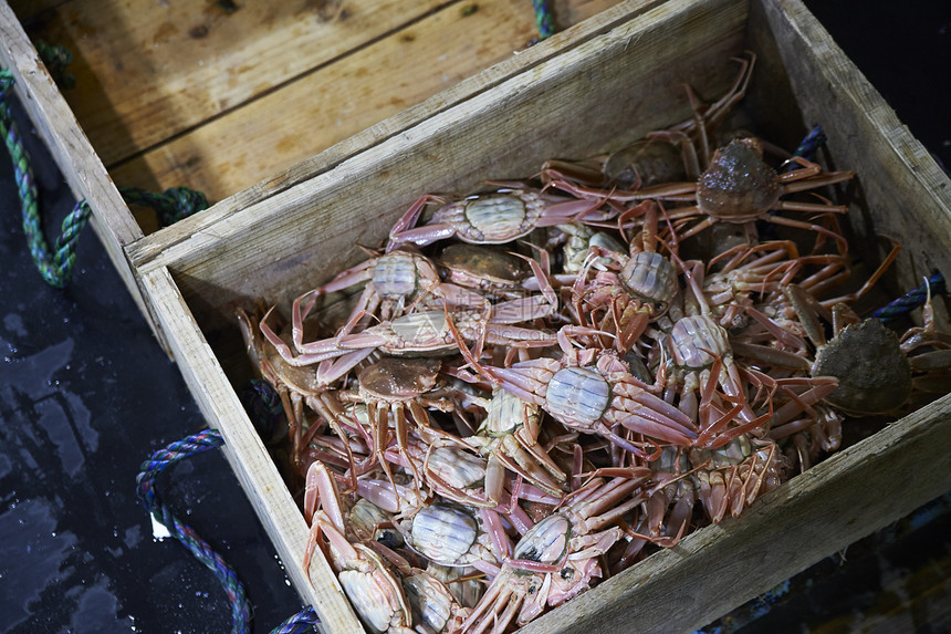 木箱里的大螃蟹图片