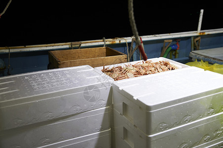 泡沫箱里装满的大螃蟹图片