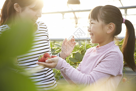 女孩拿着一捧草莓开心的跟母亲分享图片