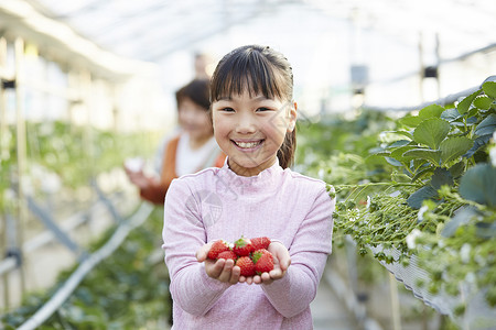 摘草莓的孩子捧着草莓微笑的女孩背景