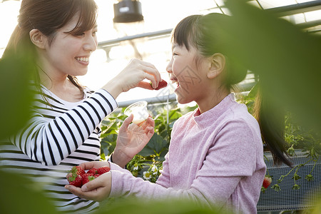 喂女孩吃草莓的母亲图片