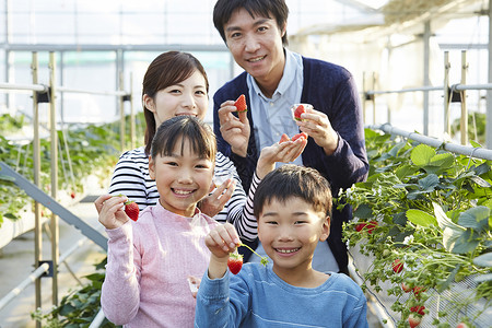 拿着草莓的一家人对着镜头微笑图片