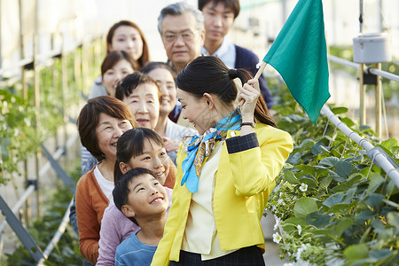 来到草莓园的观光团图片