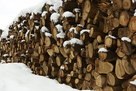 雪地里积雪的木柴图片