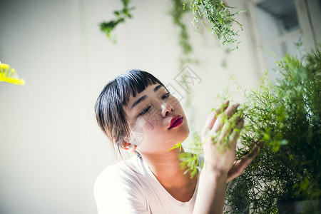 绿植和年轻女孩图片