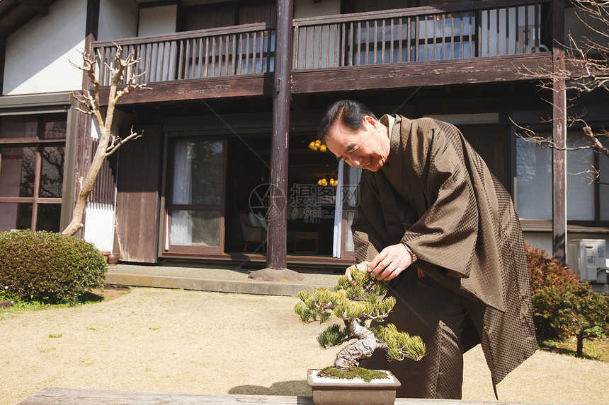 日式服装退休长者照顾丰富的盆景图片