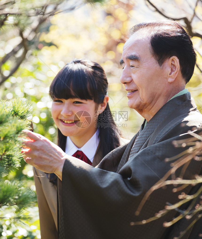 和服室外松树一个丰富的家庭花园图片