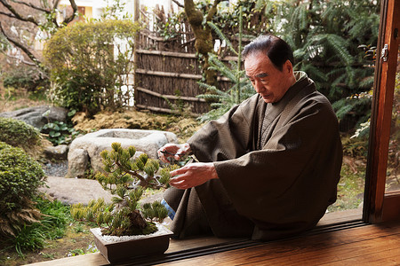日式盆景男老年人房屋照顾丰富的盆景背景