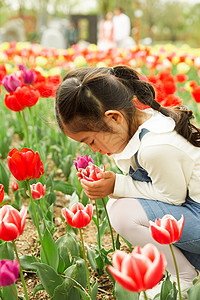 花圃里捧着花的小女孩图片