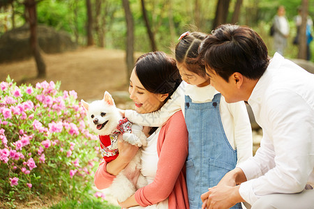 春日抱着狗狗出游的一家人图片