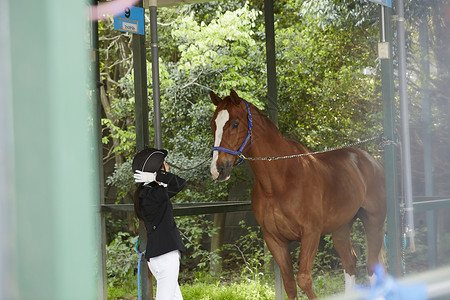 马场里牵着马匹的女性图片