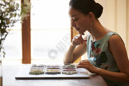 看着茶叶品茶的年轻女性背景图片