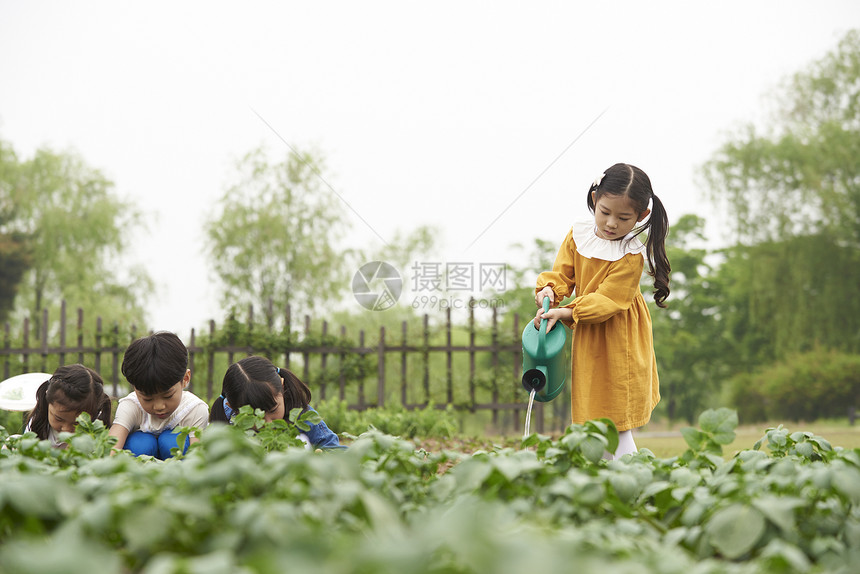 户外菜园里农作的孩子们图片