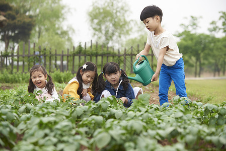 户外田地学习耕种的孩子们图片