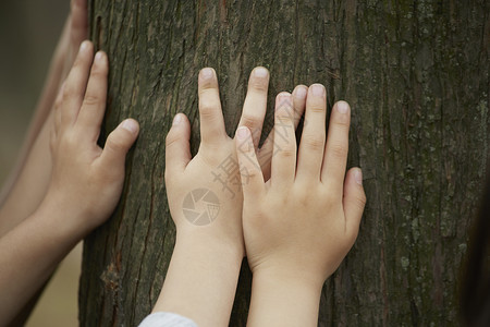 小孩抱住大树的手特写图片