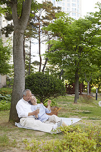 树下休息的老年夫妇图片