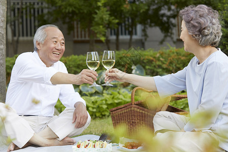 户外野餐干杯的老年夫妇图片