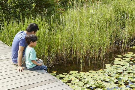 荷叶上男孩父子看池塘里的植物背景