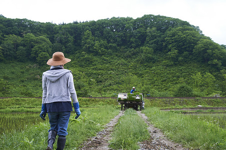种植水稻在田地里休息的年轻农民图片