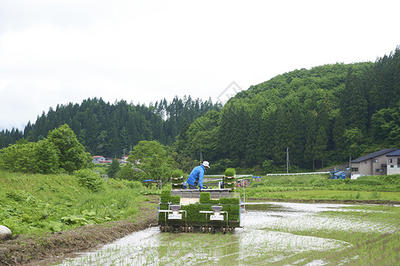 男人操作水稻种植机图片