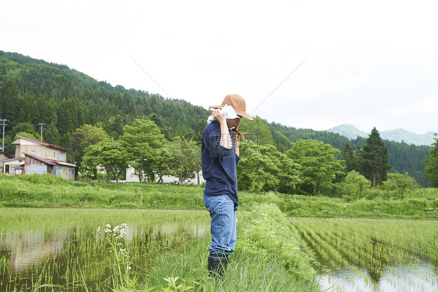 种植水稻正在休息的农民图片