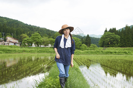 水稻田间休息的农业妇女图片