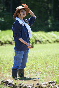 幼苗森林女一个女人种植水稻图片
