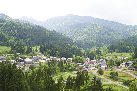 绿色田野乡村风光图片