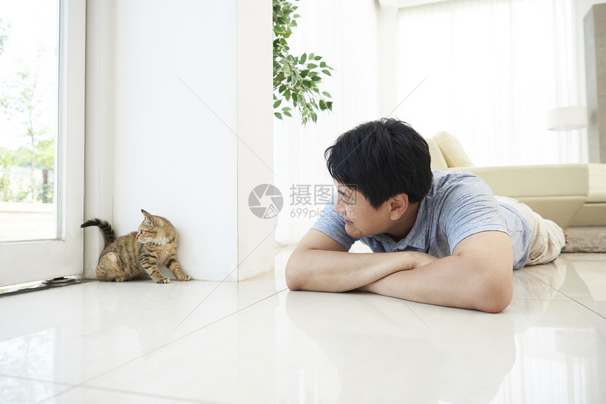 正在逗猫玩的男子图片