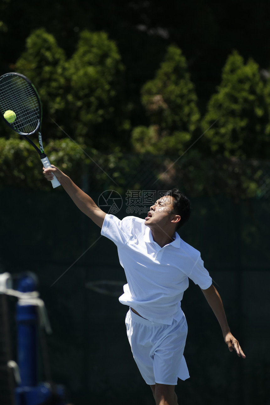运动游戏男打网球的人图片