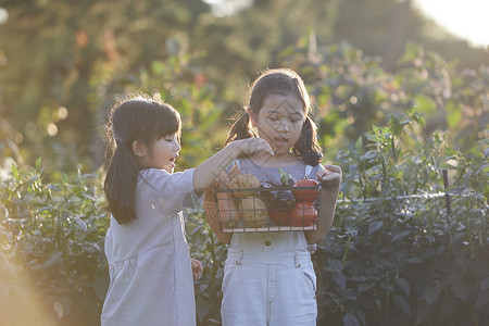 儿童手里拿着茄子和农产品图片