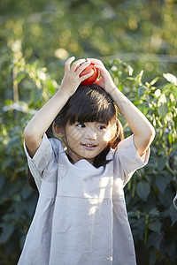 番茄儿童庄稼收获图片