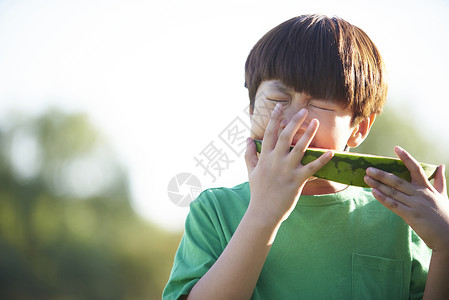 幸福分庭律师户外的孩子西瓜吃图片