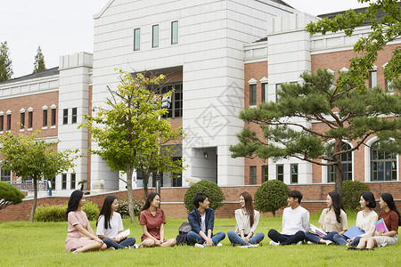 校园草坪上休息聊天的大学生图片